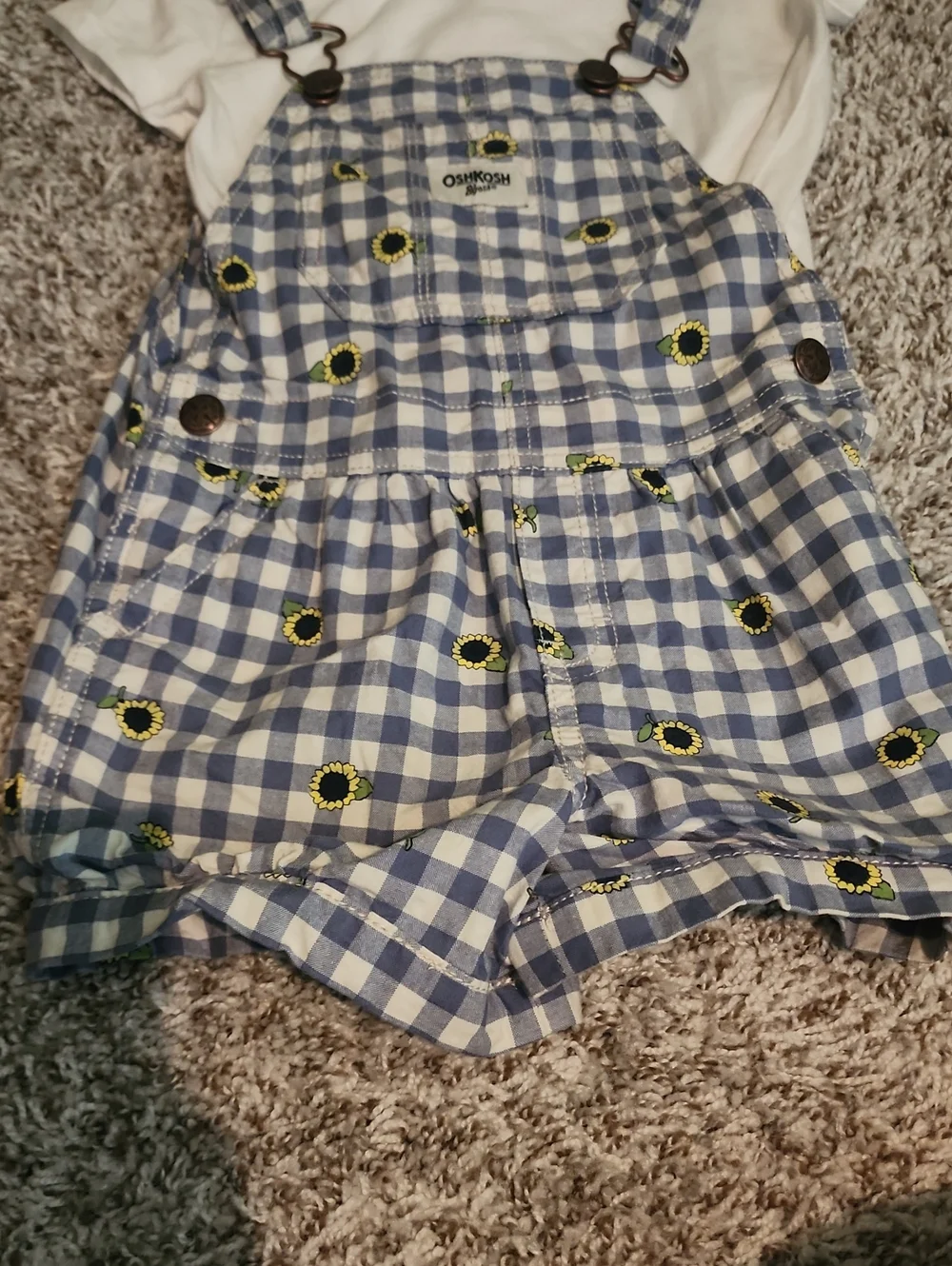 OshKosh Bgosh this pair